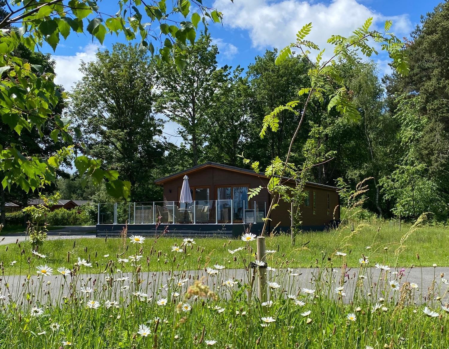 Hollicarrs - Honeycomb Lodge York Exterior foto